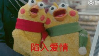 陷入爱情 - 鹦鹉兄弟斗图啦gif搞笑图片