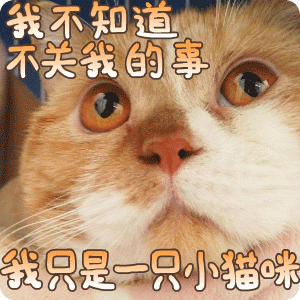 我不知道，不关我的事斗图啦gif搞笑图片