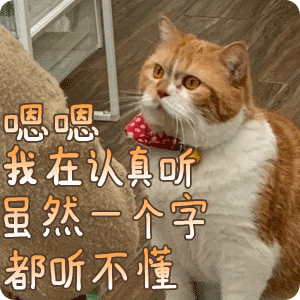 嗯嗯，我在认真听，虽然一个字都听不懂斗图啦gif搞笑图片