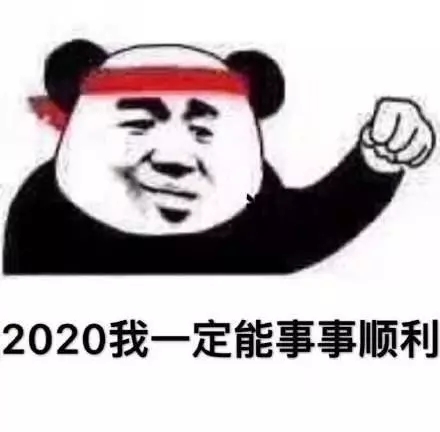 2020，我一定能事事顺利斗图啦gif搞笑图片