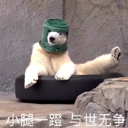 小腿一蹬与世无争斗图啦gif搞笑图片