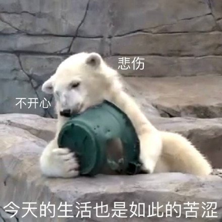今天的生活，也是如此的苦涩斗图啦gif搞笑图片