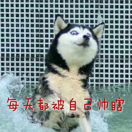 每天都被自己遇瞎斗图啦gif搞笑图片