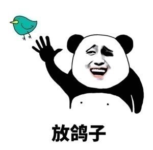 放鸽子斗图啦gif搞笑图片