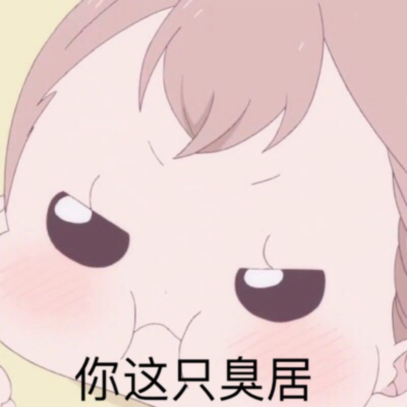 你这只臭居 - 居居斗图啦gif搞笑图片