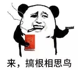 来，搞根相思鸟斗图啦gif搞笑图片