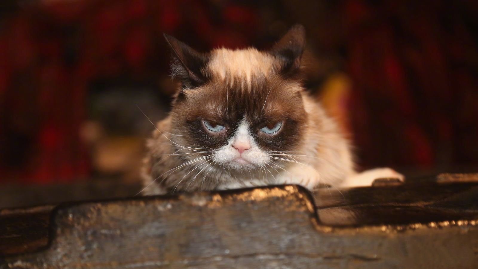 发呆中斗图啦gif搞笑图片