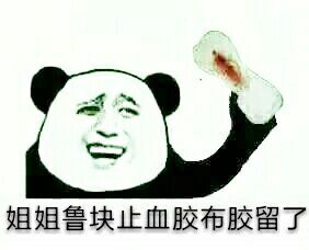 姐姐鲁块止血胶布胶留了斗图啦gif搞笑图片