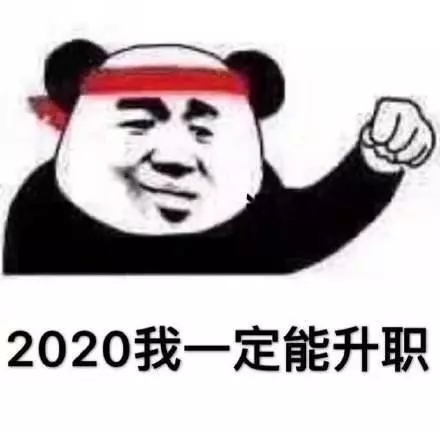 2020，我一定能升职斗图啦gif搞笑图片