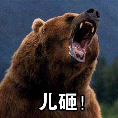 儿砸！（灰熊）斗图啦gif搞笑图片
