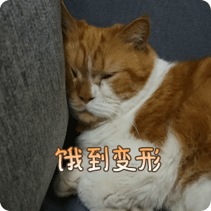 饿到变形斗图啦gif搞笑图片