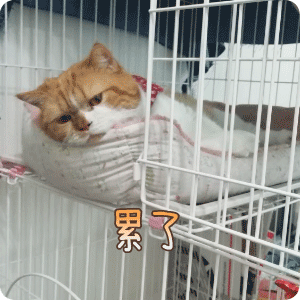 累了斗图啦gif搞笑图片