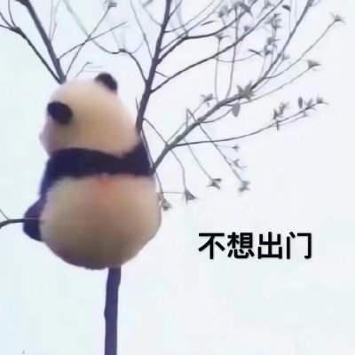 不想出门斗图啦gif搞笑图片