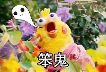 笨鬼斗图啦gif搞笑图片