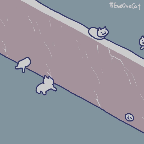 撞墙斗图啦gif搞笑图片