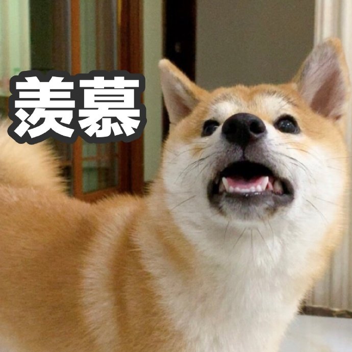 羡慕斗图啦gif搞笑图片