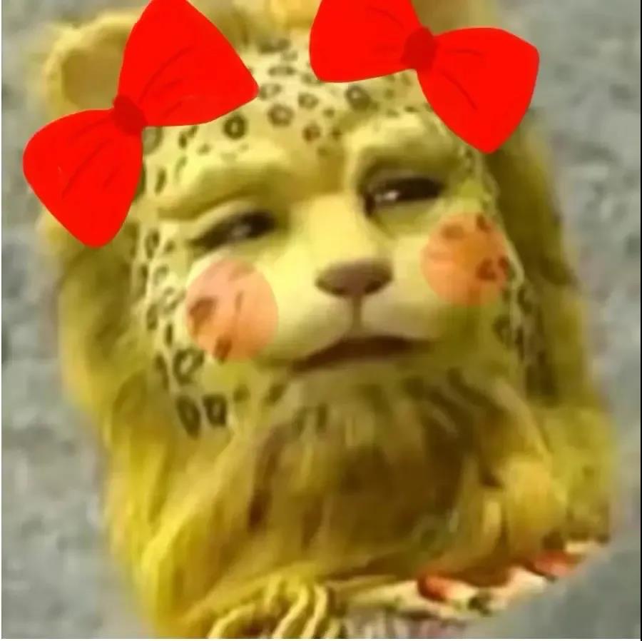 一夜之间金钱豹刷屏了斗图啦gif搞笑图片