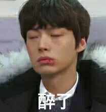 醉了斗图啦gif搞笑图片