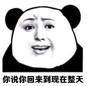 你说你回来到现在整天都在干嘛？斗图啦gif搞笑图片