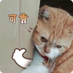 可靠斗图啦gif搞笑图片