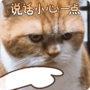 说话小心一点斗图啦gif搞笑图片