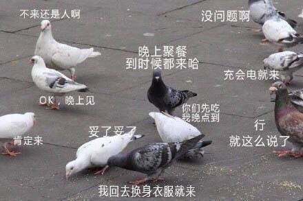 我回去换身衣服就来斗图啦gif搞笑图片