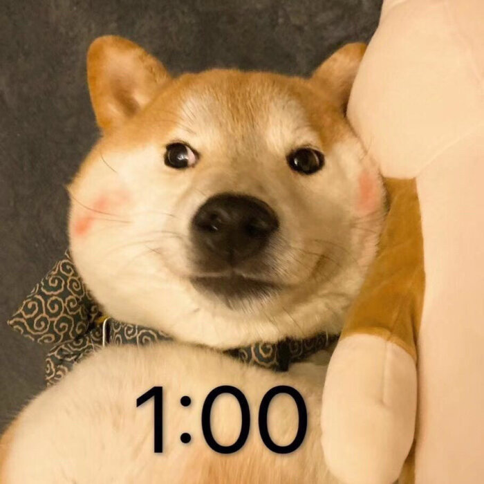 1:00斗图啦gif搞笑图片