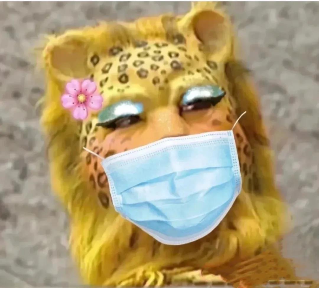 一夜之间金钱豹刷屏了斗图啦gif搞笑图片