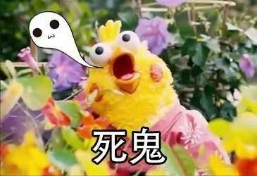 死鬼斗图啦gif搞笑图片