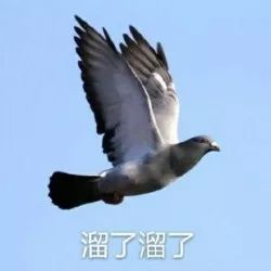 溜了溜了斗图啦gif搞笑图片