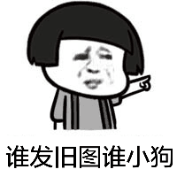 谁发旧图谁小狗斗图啦gif搞笑图片