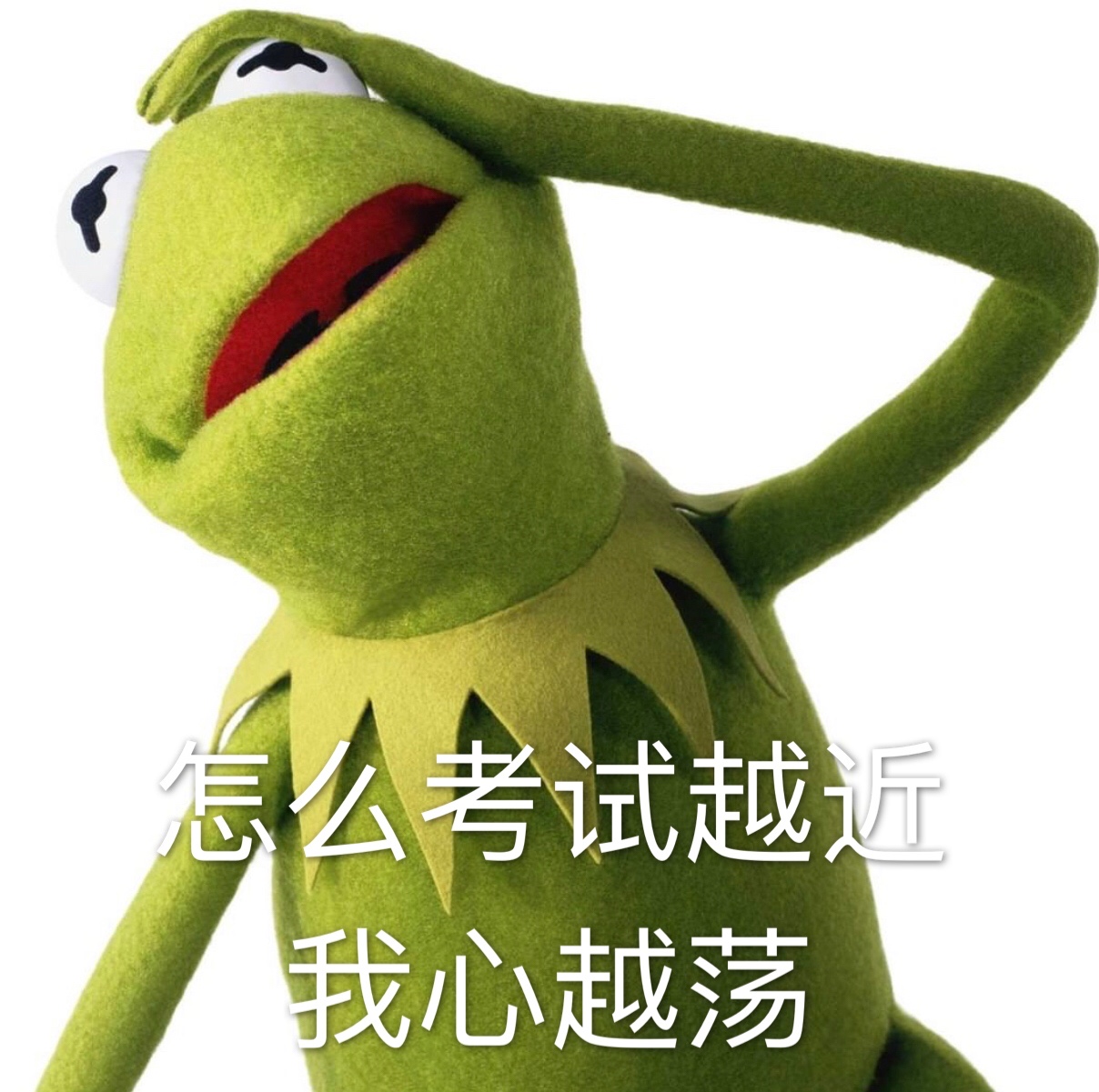 怎么考试越近，我心越荡斗图啦gif搞笑图片