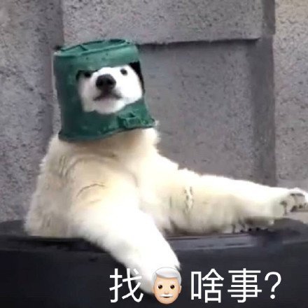 找老子啥事？斗图啦gif搞笑图片