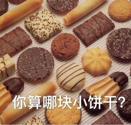 你算哪块小饼干？斗图啦gif搞笑图片