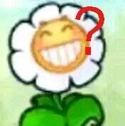 嘻嘻，太阳花斗图啦gif搞笑图片