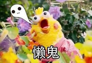 懒鬼斗图啦gif搞笑图片