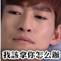 我该拿你怎么办斗图啦gif搞笑图片
