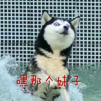 嘿那个妹子斗图啦gif搞笑图片