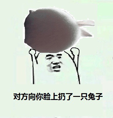 对方向你脸上扔了一只兔子斗图啦gif搞笑图片