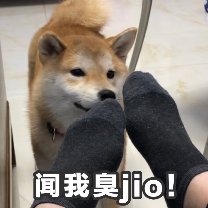 闻我臭jio斗图啦gif搞笑图片