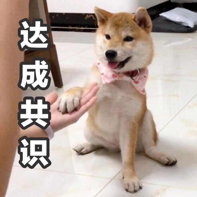 达成共识斗图啦gif搞笑图片