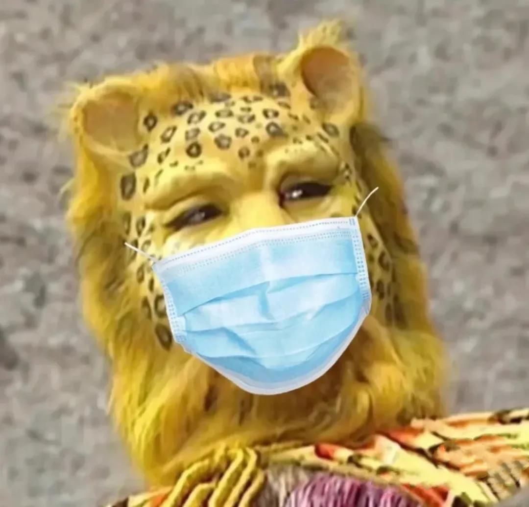 一夜之间金钱豹刷屏了斗图啦gif搞笑图片