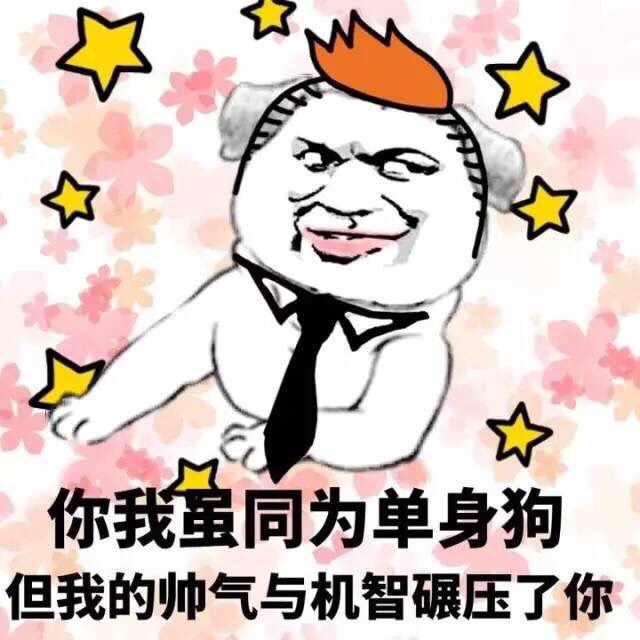 你我虽同为单身狗狗，但我的帅气与机智碾压你斗图啦gif搞笑图片