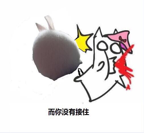 而你没接住斗图啦gif搞笑图片