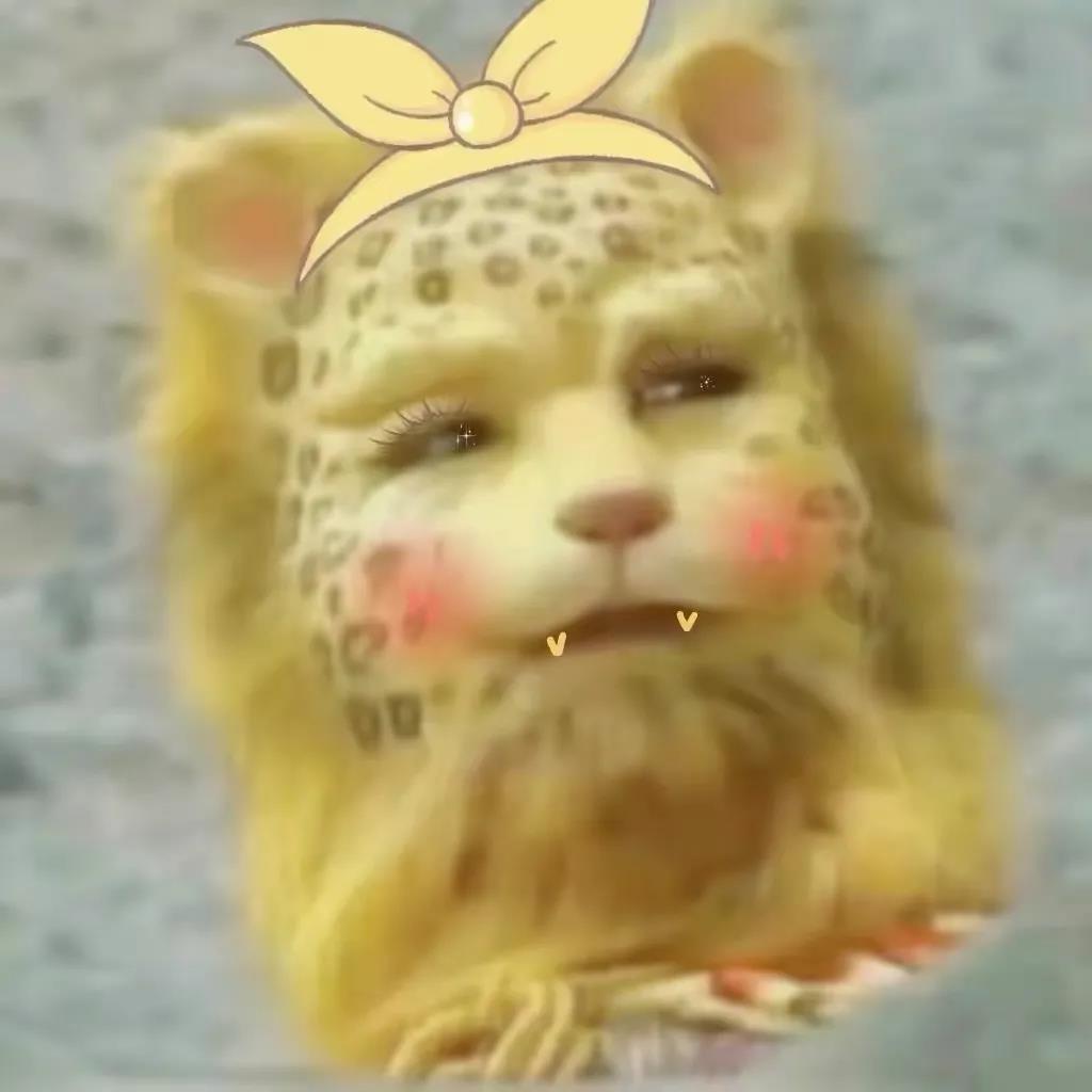 一夜之间金钱豹刷屏了斗图啦gif搞笑图片