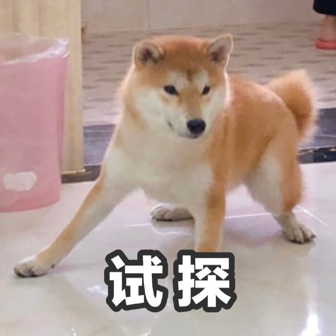 试探斗图啦gif搞笑图片