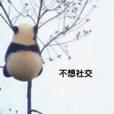 不想社交斗图啦gif搞笑图片