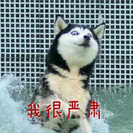 我很严肃斗图啦gif搞笑图片