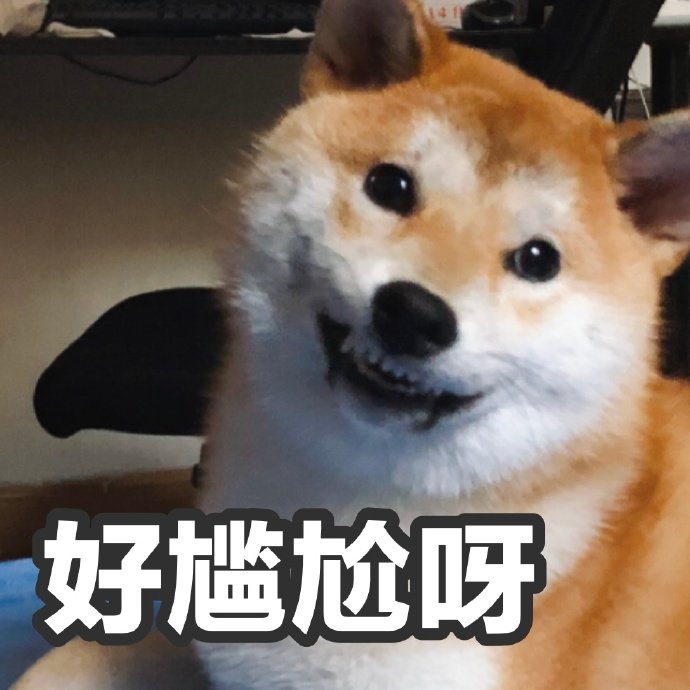 呀尴尬呀斗图啦gif搞笑图片