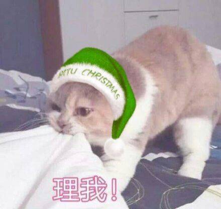 理我一下斗图啦gif搞笑图片